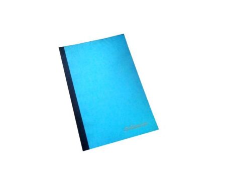 Piqûres comptables